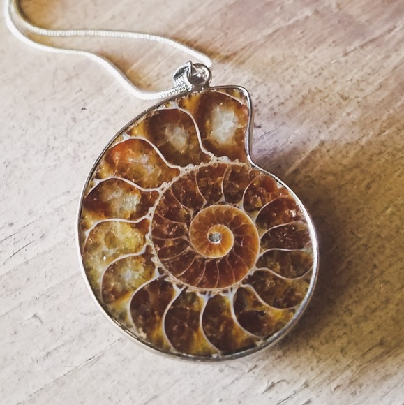 "Regal Revelry"- Silver Ammonite Fossil Necklace - Picture 6 of 6